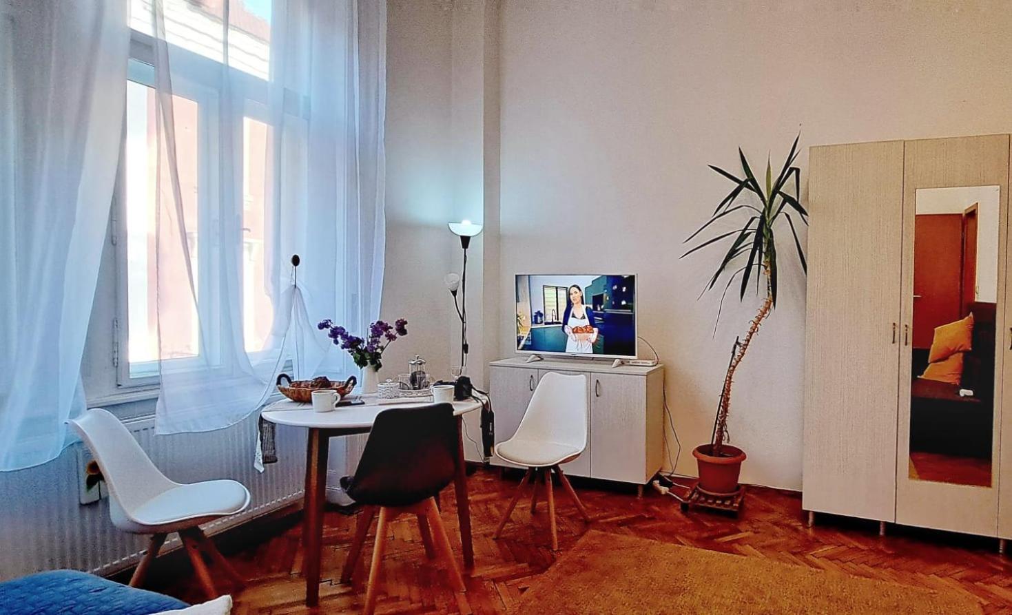 Travel And Music Apartment Timişoara Extérieur photo